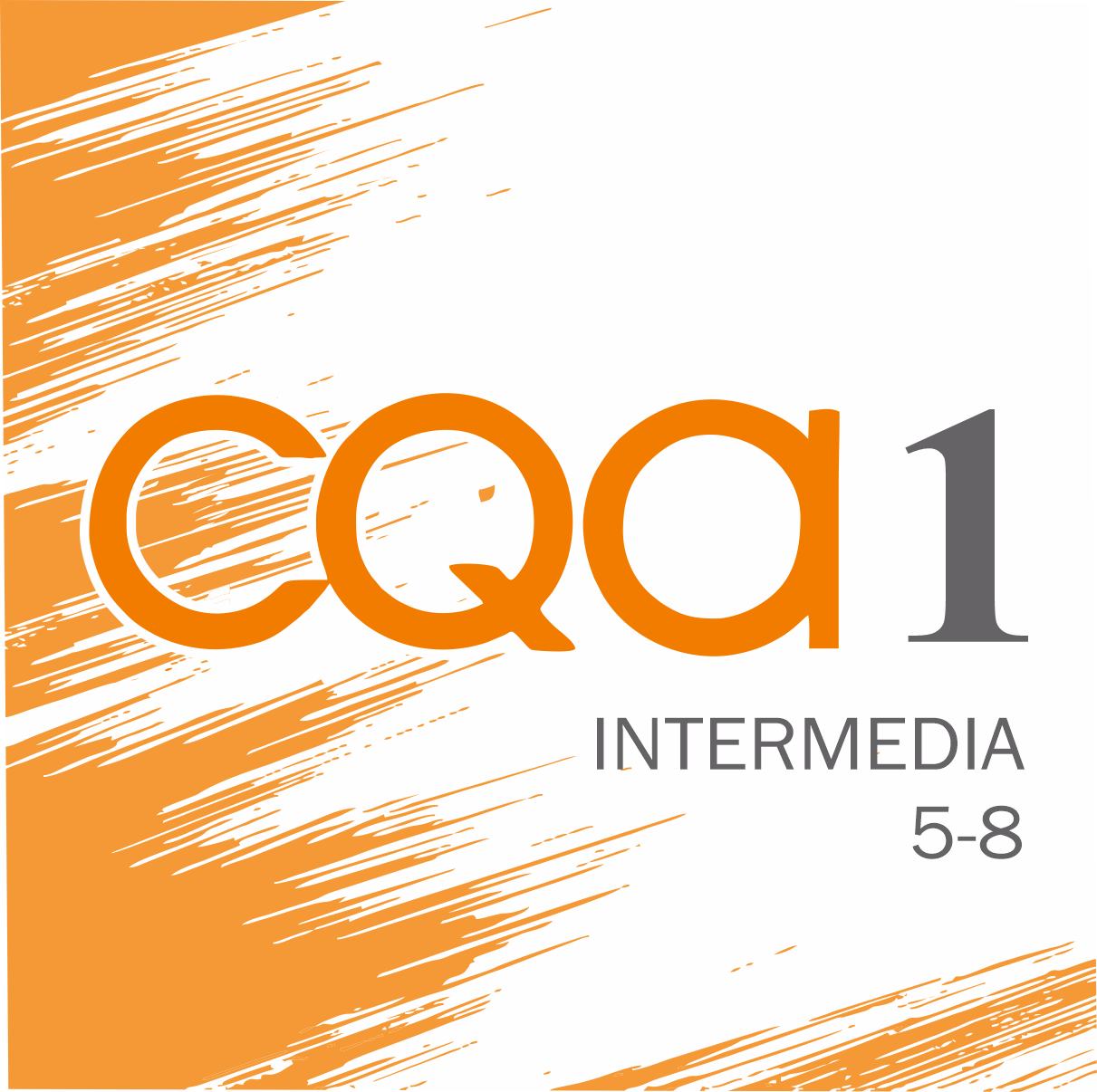 CQA 1 5-8